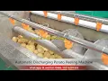 Continuous Type Potato Peeling Machine