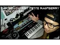 Thirteen - Cherry petite raspberry (Synth Cover)
