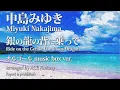 Miyuki Nakajima - Ride on the Gentle Luminous Dragon music box full version - ACE Fantasy