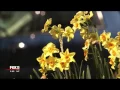 How to protect yourself when pollen count spikes