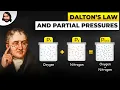 Dalton s Law and Partial Pressures