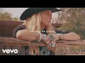 Download Lagu Miranda Lambert - Alimony (Lyric Video)
