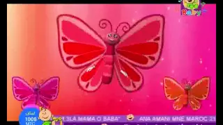 اغنية الفراشة فرقة طيور الجنة طيور بيبي 