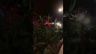 قال جاني بعد يومين سميرة سعيد  قال جاني بعد يومين سميرة سعيد