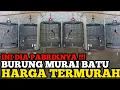Download Lagu PALING GILA !! PABRIK BURUNG MURAI BATU, HARGA TERMURAH JUAL ASAL LAKU