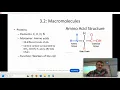 Bio - Chapter 3