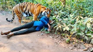 Опасные Встречи с Животными, Которые Сняли на Камеру