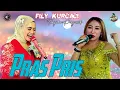 Lagu PRAS PRIS. FILY KURCACI - INA SALSA 