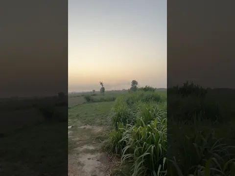 Natural view 🏕️#short #trend #viral