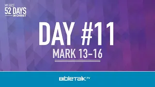 Day #11
