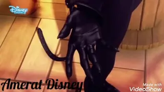 عشق مجنون حالات واتس حب دعسوقة و القط الاسود روووعة 