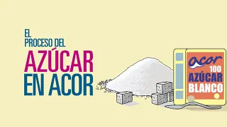 Como se obtiene el azucar