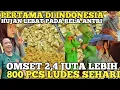Download Lagu HUJAN LEBAT AJA RELA ANTRI! JUALAN UNIK PERTAMA DI INDONESIA OMSET 2,4 JUTA 800 PCS LUDES! IDE USAHA
