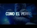 SOLO- CALLE 24 - (VIDEO LYRIC)