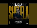Download Lagu Road To Shelela