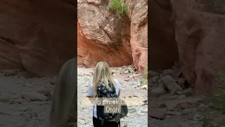 Hiking Spring Creek Canyon, Utah – check our YouTube channel for the entire video #hike #hiking ￼