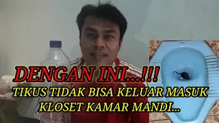 cara cegah tikus keluar masuk lewat kloset u0026 pembuangan air kamar mandi