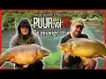 Download Lagu Puur.vol 26 - Karpervissen | De eeuwige strijd - Bas van der Werff \u0026 Niels Bouwer