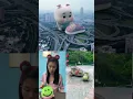 Download Lagu Rabbit Cute And Me  🐰🐰 April 2023 Part  273 #giangpi #tiktok #rabbit #viral