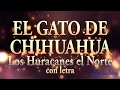 El gato de chihuahua - Los Huracanes del Norte (rolas con letra/lyric)