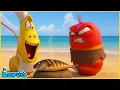 Download Lagu LARVA SIÊU ĐẦU BẾP - ẤU TRÙNG TINH NGHỊCH - HOẠT HÌNH LARVA MỚI NHẤT 2025