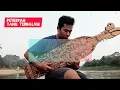 Download Lagu Yang Terdalam - Peterpan/Noah Instrumental Sape Cover