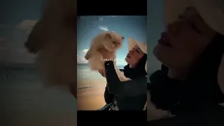 كيفوو عم بسمع انو نزع ستيلو لايك اشتراك بالقناة اكسبلور Shortvideo الشامي Alshami 