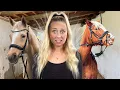 Download Lagu Ich VERSORGE ALLE TIERE in der Hof WG
