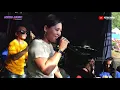 Download Lagu DAUN HIRIS VERSI DANGDUT VOC.NUNG ULQISMA ORGAN DANGDUT ADZKIA MUSIC MP3