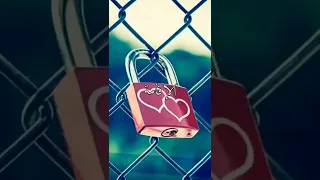 مبروك الإقامه    دندنها