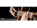 DEMEISES - Dengarlah Bintang Hatiku (Instrumental Cover)