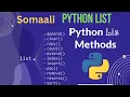 Mastering Python Lists A Comprehensive Guide Soomaali