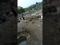 Download Lagu pantai karang hawu pelabuhan ratu