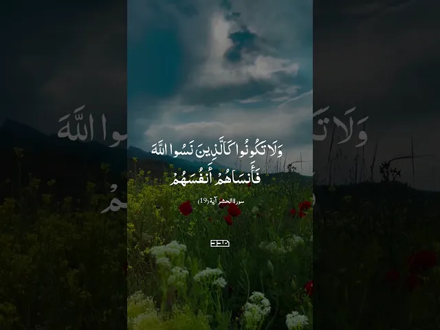 ⁣بِسْمِ اللَّهِ الرَّحْمَنِ الرَّحِيم✨#سورة_الحشر#آيات #تلاوة #قران