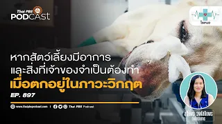 สัตว์เลี้ยงมีอาการปัสสาวะไม่ออก ควรระวังอะไร