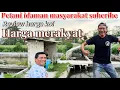 Download Lagu Petani koi idaman masyarakat subcribe,harganya sangat merakyat ‼️dasen koi farm