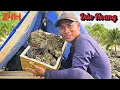 Download Lagu Thử Thách 24H Cắm Trại Sinh Tồn Trên Đảo Hoang Phát Hiện Nhiều Hải Sản Ngon | survival camping