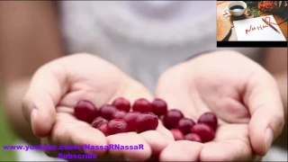 محمد النصري الخدير الشال و بدع 