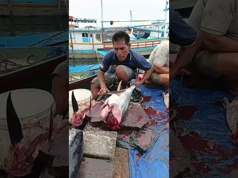 Fresh tuna cutting skill by uncle Yusup#tuna_fish_cutting #trending #fyp #nelayan  #seafood