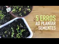 Download Lagu NUNCA mais ERRE ao PLANTAR SEMENTES