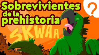15 datos curiosos sobre loros y pericos