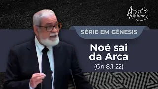 16. Noé sai da arca (Gn 8.1-22)