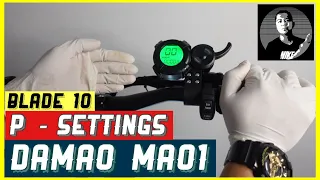 Pre Program Settings Damao Mao1 Display P - Settings Blade 10 James Angelo TV Vlog 80