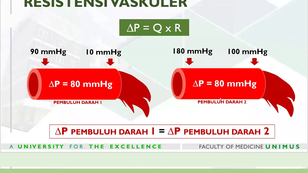 FISIOLOGI dr. Nabil Hemodinamik dan Tekanan Darah 13/06/20
