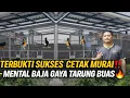 Lagu TERBUKTI‼️SUKSES TERNAK MURAI BATU FIGHTER VOCAL TAJAM \u0026 GAYA TARUNG NERAKA SUGIK ALFAREZ BF LAMPUNG