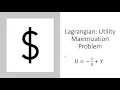Utility Maximization with Lagrange Method