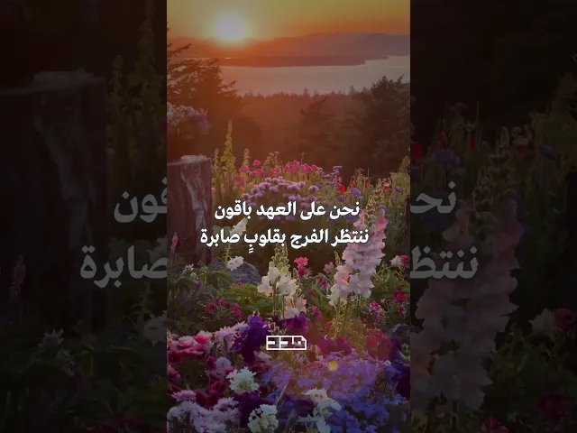 ⁣إنّا على العهد يا صاحب الزمان 🌾#إنا_على_العهد #يوم_الجمعة #صبآح_الخير