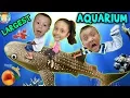 Family Trip to GEORGIA AQUARIUM World s Largest w WHALE SHARK Dolphin Tales Show ATL Vlog