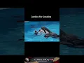 Download Lagu Jessica Radcliffe: The Orca Attack That Shocked the World