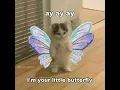 ay ay ay I'm your little butterfly